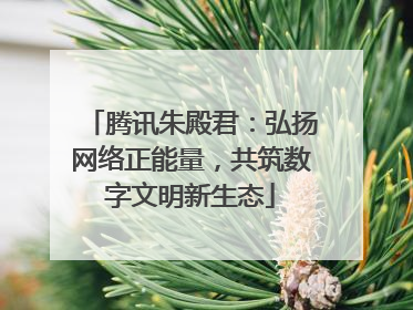 腾讯朱殿君：弘扬网络正能量，共筑数字文明新生态