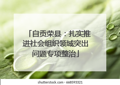 自贡荣县：扎实推进社会组织领域突出问题专项整治