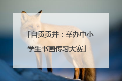 自贡贡井：举办中小学生书画传习大赛