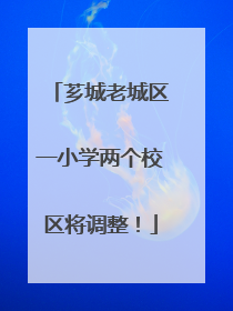 芗城老城区一小学两个校区将调整！
