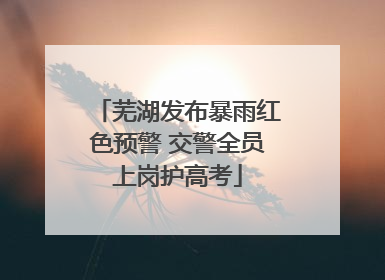 芜湖发布暴雨红色预警 交警全员上岗护高考