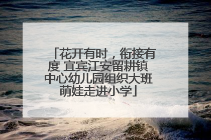 花开有时，衔接有度 宜宾江安留耕镇中心幼儿园组织大班萌娃走进小学