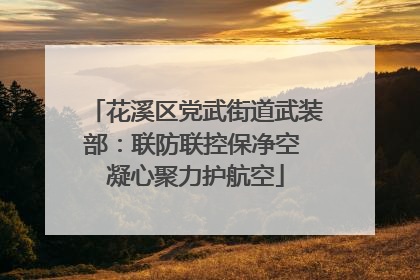 花溪区党武街道武装部：联防联控保净空 凝心聚力护航空