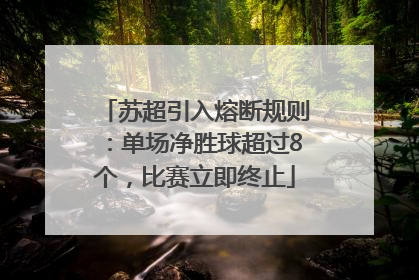 苏超引入熔断规则：单场净胜球超过8个，比赛立即终止