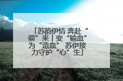 苏韵伊情 奔赴“疆”来丨变“输血”为“造血” 苏伊接力守护“心”生