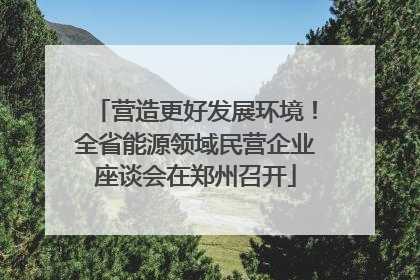 营造更好发展环境！全省能源领域民营企业座谈会在郑州召开