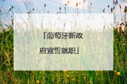 葡萄牙新政府宣誓就职