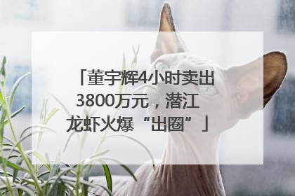 董宇辉4小时卖出3800万元，潜江龙虾火爆“出圈”