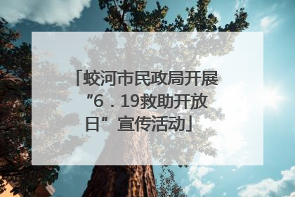 蛟河市民政局开展“6．19救助开放日”宣传活动