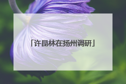 许昆林在扬州调研