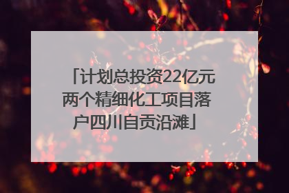 计划总投资22亿元 两个精细化工项目落户四川自贡沿滩
