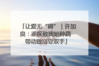 让爱无“碍”｜许加良：重疾致残始种藕 带动致富靠双手