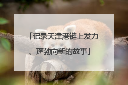 记录天津港链上发力、蓬勃向新的故事