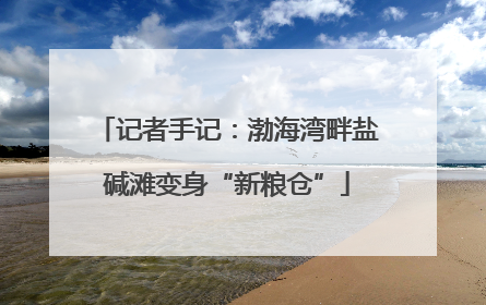 记者手记：渤海湾畔盐碱滩变身“新粮仓”