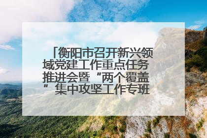 衡阳市召开新兴领域党建工作重点任务推进会暨“两个覆盖”集中攻坚工作专班 第一次会议