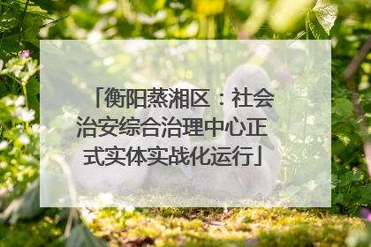 衡阳蒸湘区：社会治安综合治理中心正式实体实战化运行