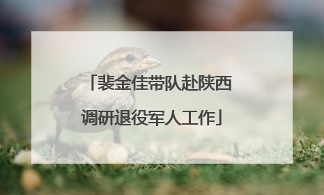 裴金佳带队赴陕西调研退役军人工作