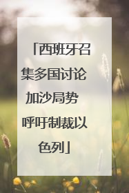 西班牙召集多国讨论加沙局势 呼吁制裁以色列