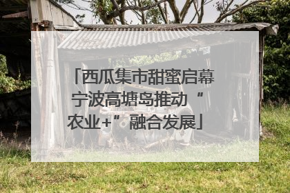 西瓜集市甜蜜启幕 宁波高塘岛推动“农业+”融合发展