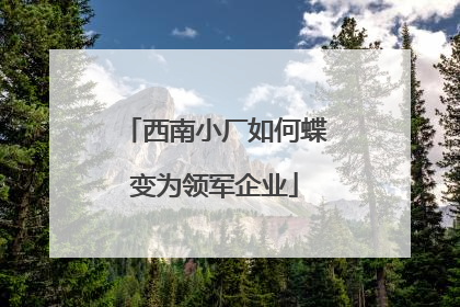 西南小厂如何蝶变为领军企业