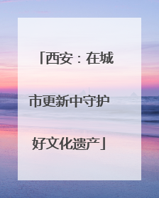 西安：在城市更新中守护好文化遗产
