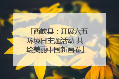 西峡县：开展六五环境日主题活动 共绘美丽中国新画卷