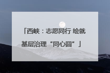 西峡：志愿同行 绘就基层治理“同心圆”