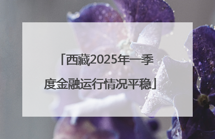 西藏2025年一季度金融运行情况平稳