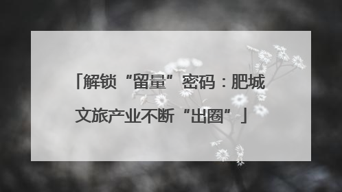 解锁“留量”密码：肥城文旅产业不断“出圈”