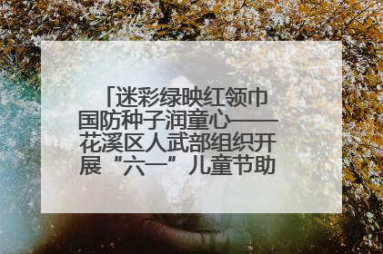 迷彩绿映红领巾 国防种子润童心——花溪区人武部组织开展“六一”儿童节助学兴教活动