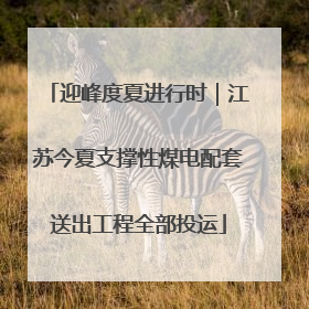迎峰度夏进行时｜江苏今夏支撑性煤电配套送出工程全部投运