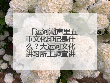 运河潮声里五重文化印记是什么？大运河文化讲习所主题宣讲为市民揭秘