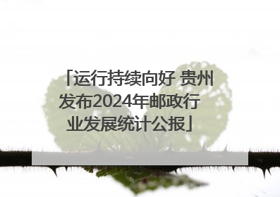 运行持续向好 贵州发布2024年邮政行业发展统计公报