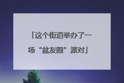 这个街道举办了一场“盆友圈”派对