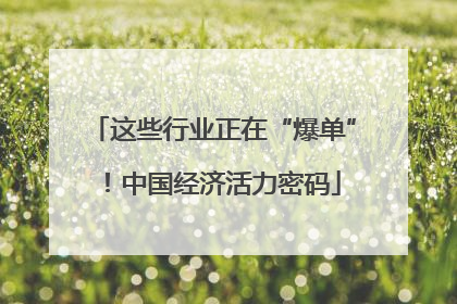 这些行业正在“爆单”！中国经济活力密码