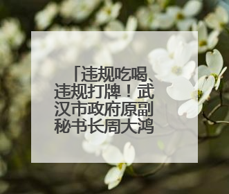 违规吃喝、违规打牌！武汉市政府原副秘书长周大鸿被“双开”