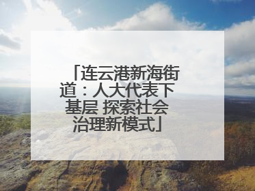 连云港新海街道：人大代表下基层 探索社会治理新模式