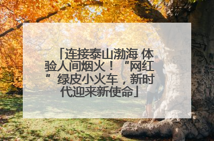 连接泰山渤海 体验人间烟火！“网红”绿皮小火车，新时代迎来新使命
