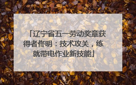 辽宁省五一劳动奖章获得者佟明：技术攻关，练就带电作业新技能