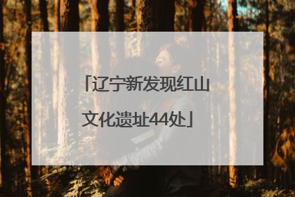 辽宁新发现红山文化遗址44处