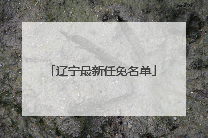 辽宁最新任免名单