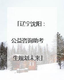 辽宁沈阳：公益咨询助考生规划未来