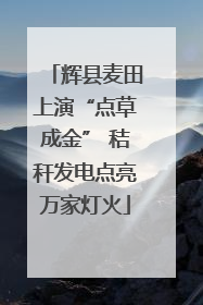 辉县麦田上演“点草成金” 秸秆发电点亮万家灯火
