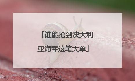 谁能抢到澳大利亚海军这笔大单