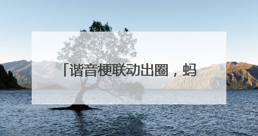 谐音梗联动出圈，蚂蚁财富“指数+”让理财更“加”生活化