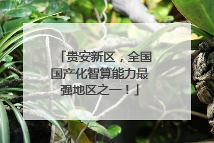 贵安新区，全国国产化智算能力最强地区之一！