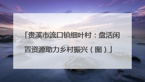 贵溪市流口镇细叶村：盘活闲置资源助力乡村振兴（图）