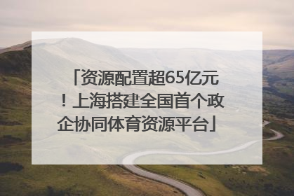 资源配置超65亿元！上海搭建全国首个政企协同体育资源平台