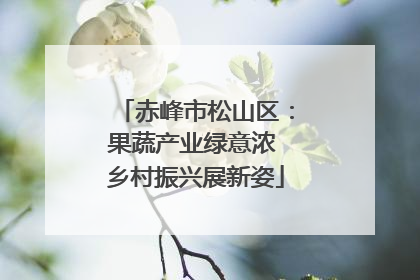 赤峰市松山区：果蔬产业绿意浓 乡村振兴展新姿