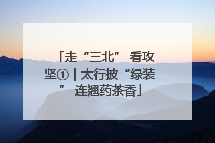 走“三北” 看攻坚①｜太行披“绿装” 连翘药茶香
